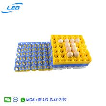 best quality chicken egg tray PP plastic egg tray for 30 chicken eggs